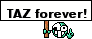 TAZ forever!
